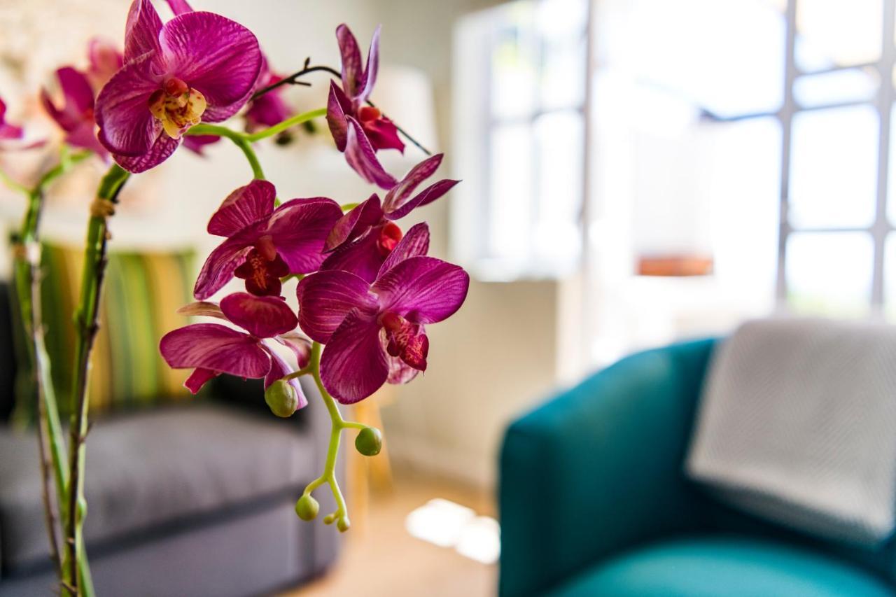 Kunjani Villas Stellenbosch Ngoại thất bức ảnh